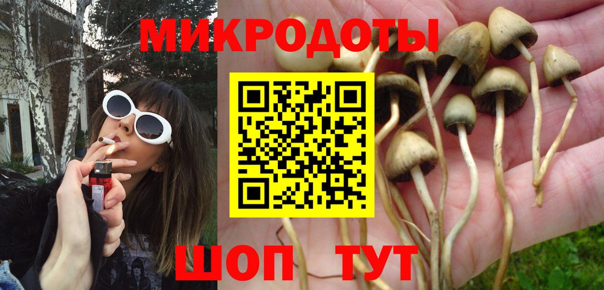 Старый Оскол  Галлюциногенные грибы мухоморы  Вход с VPN  Галлюциногенные грибы мухоморы 